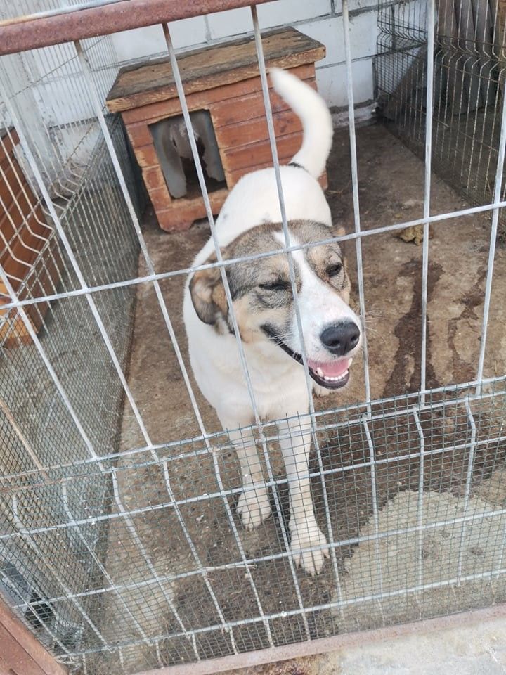 Evita