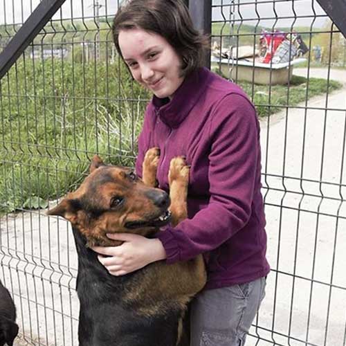 German Shepherd Dog Rescue