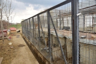 Dog Rescue Romania - The Forgotten Shelter